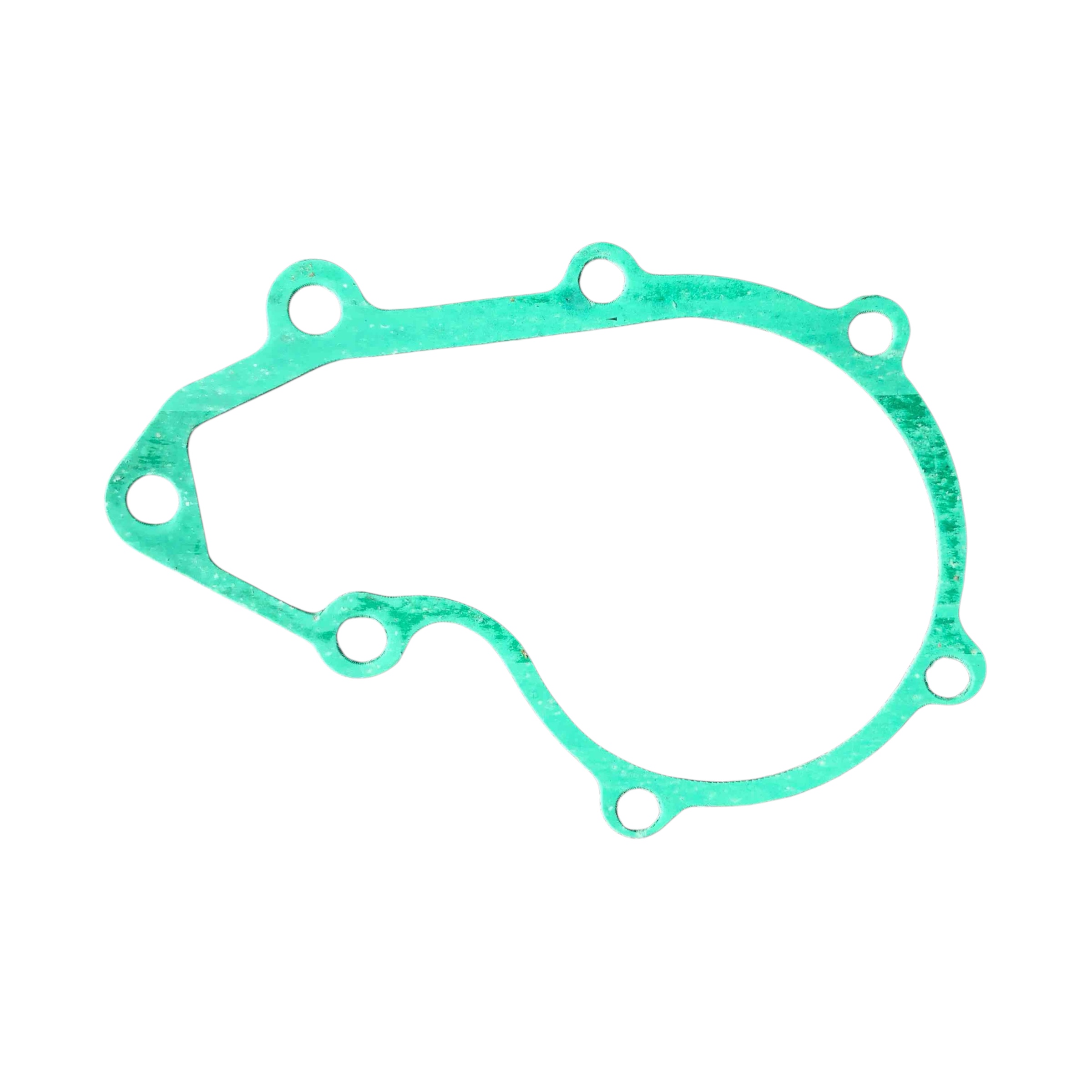 1130 M10 WATER PUMP GASKET